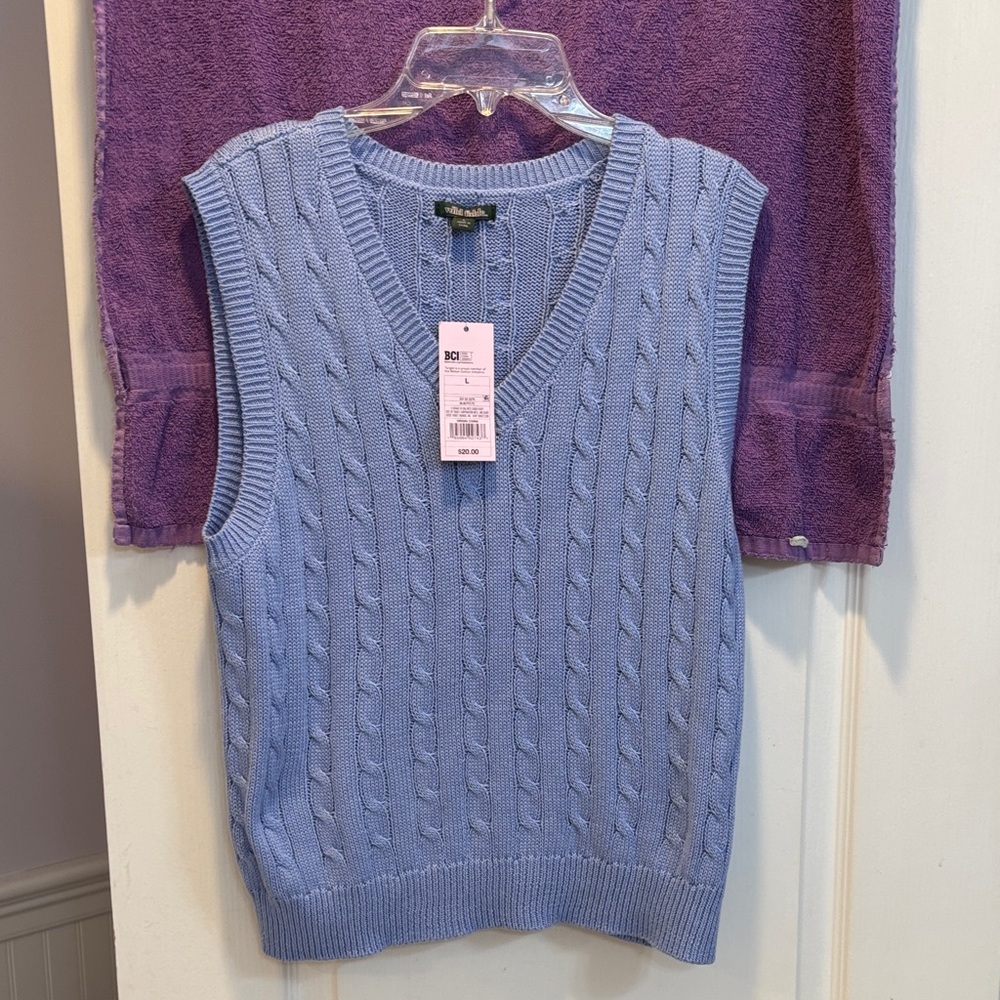 NWT Wild Fable V-Neck Light Blue Sweater Vest